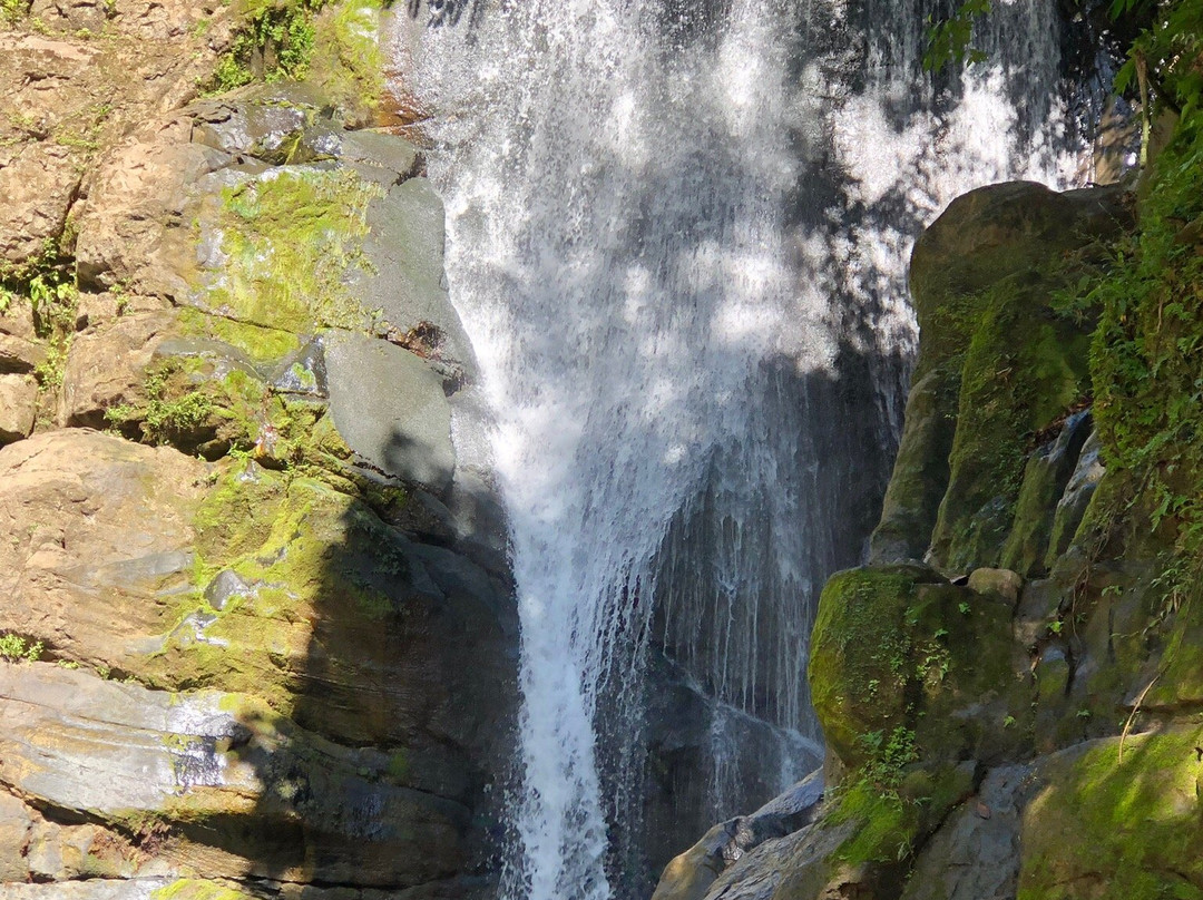 Cataratas Bribri Talamanca景点图片
