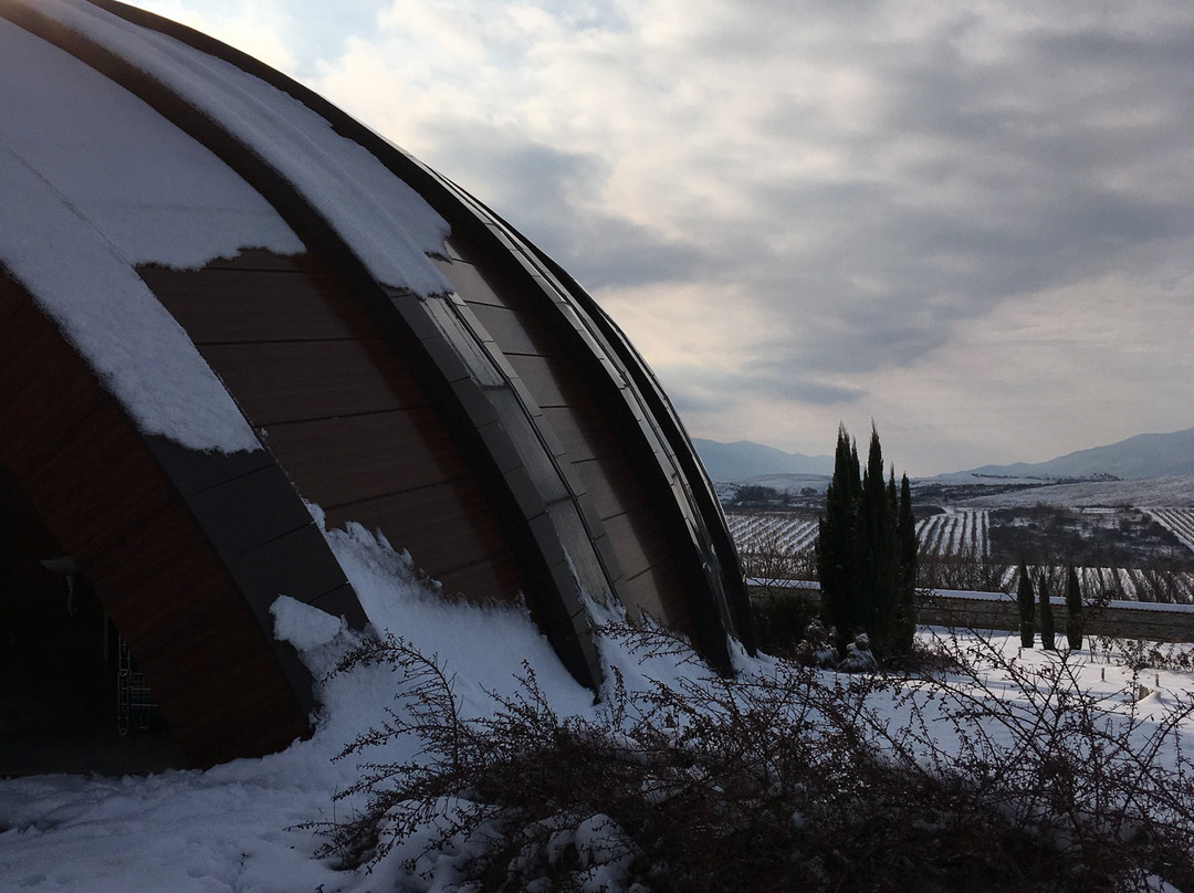 Orbelus Organic Winery-Blagoevgrad必去景点