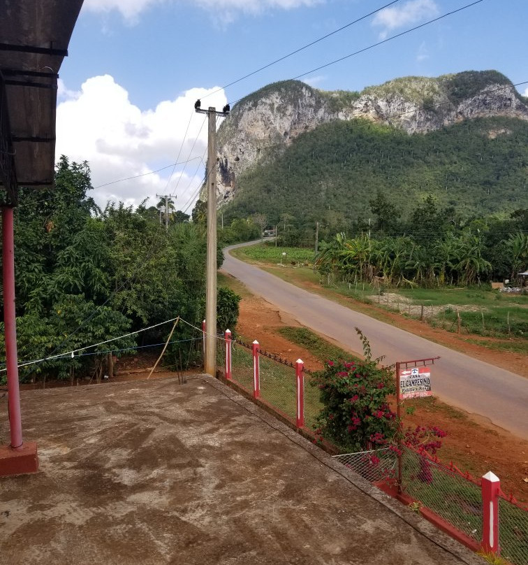 El Campesino Palillo y Rosa主图