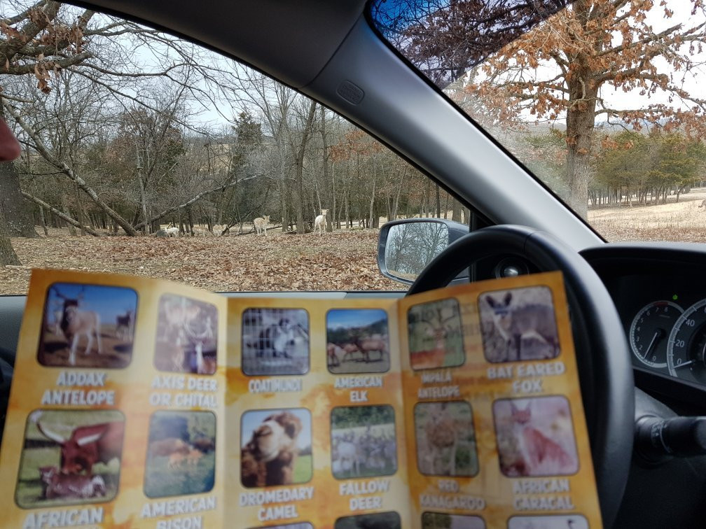 Eureka Springs Safari Park景点图片