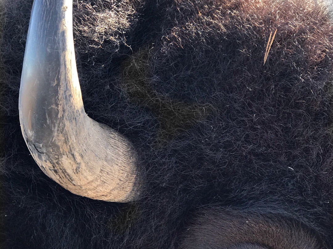 Fleming Park-Independence必去景点