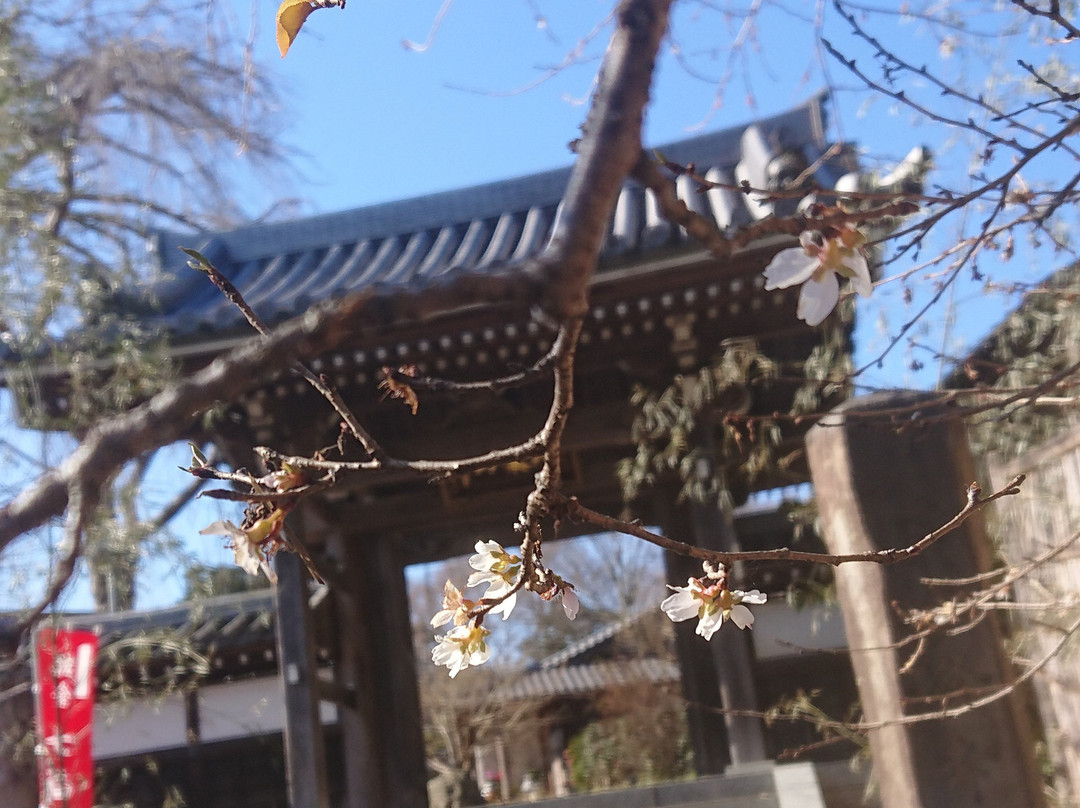 Myoryu-ji Temple-佐仓市必去景点