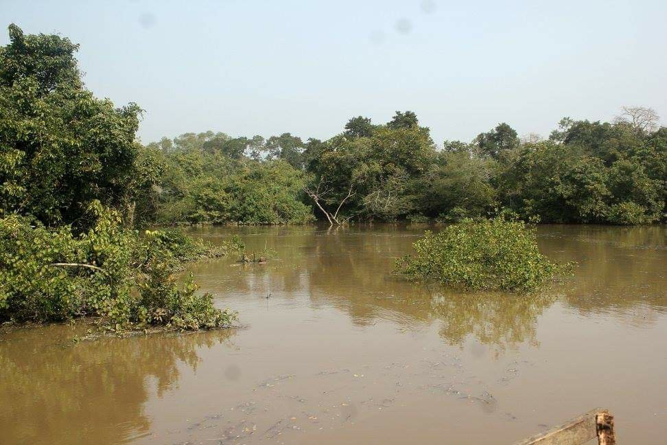 Bhitarkanika Wildlife Sanctuary景点图片