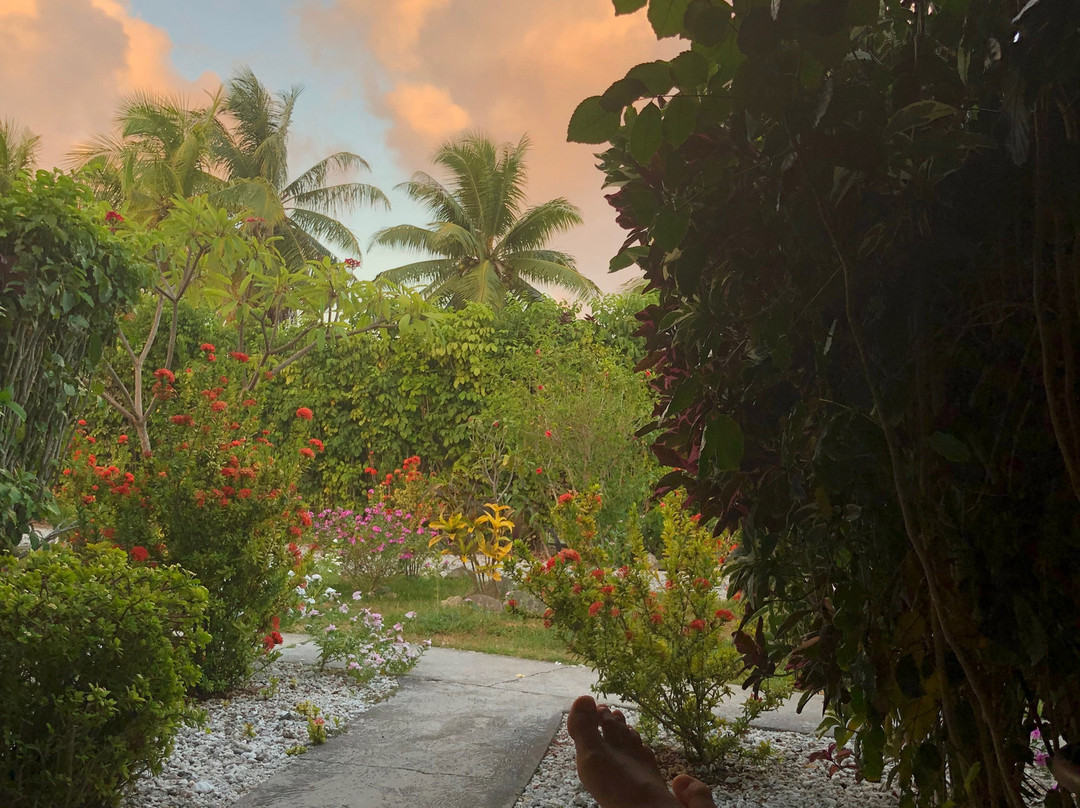Bounty Rangiroa - Lodge & Boutique Hotel主图