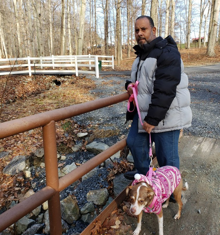 Carousel Park & Equestrian Center-威尔明顿必去景点