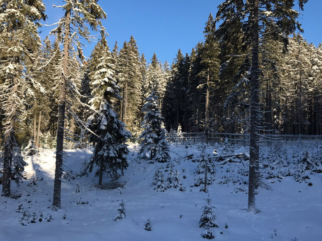 Visitor Center Kvilda - deer and rye range-Kvilda必去景点