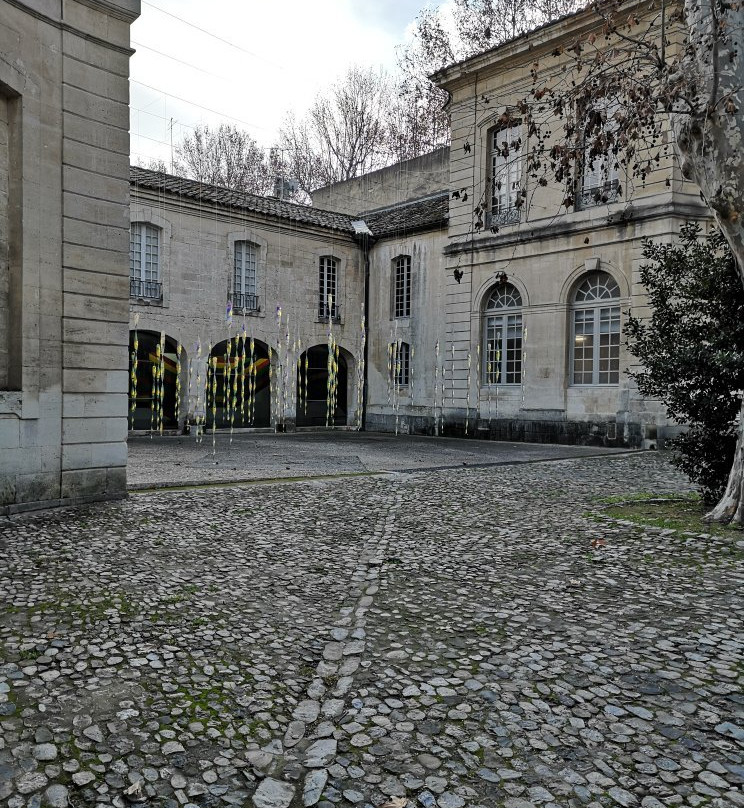 Musée D'art Cotemporain景点图片