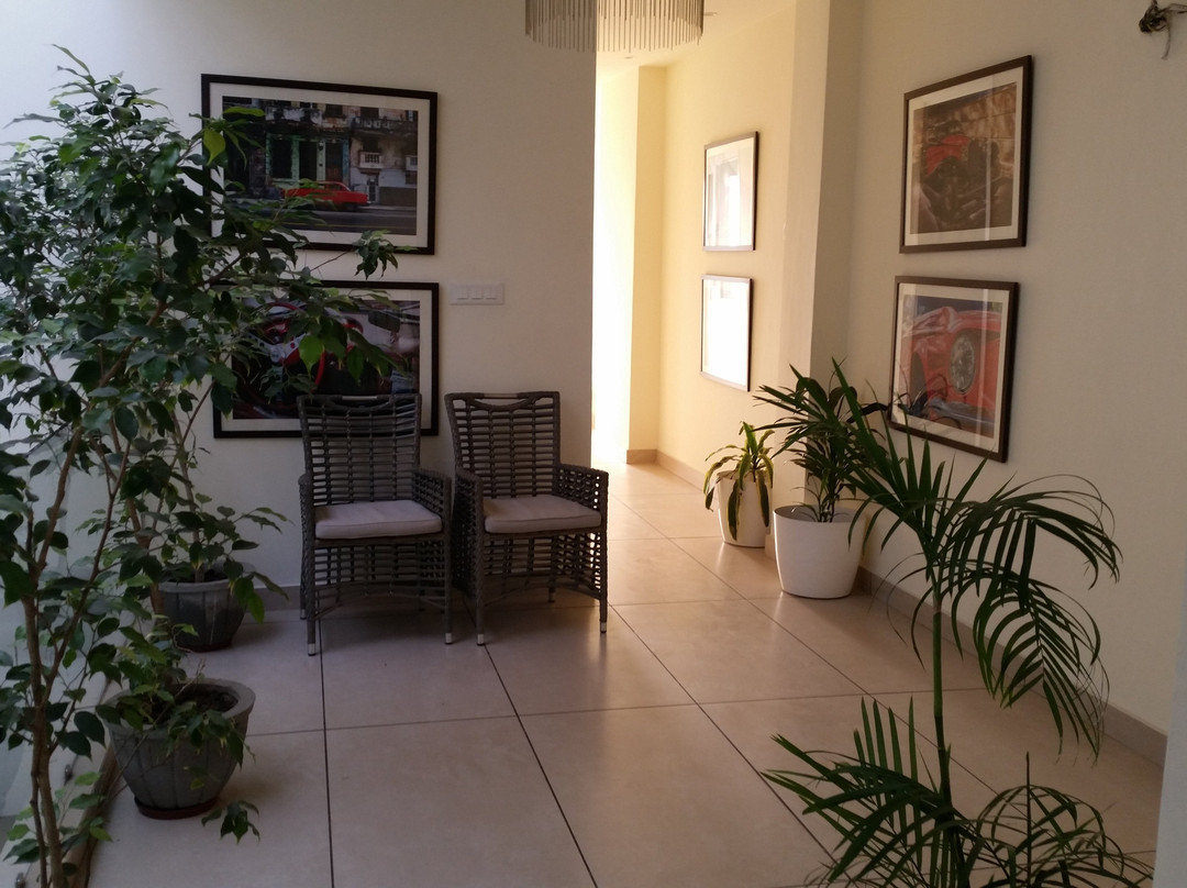 Mohan Tulip Hotel主图