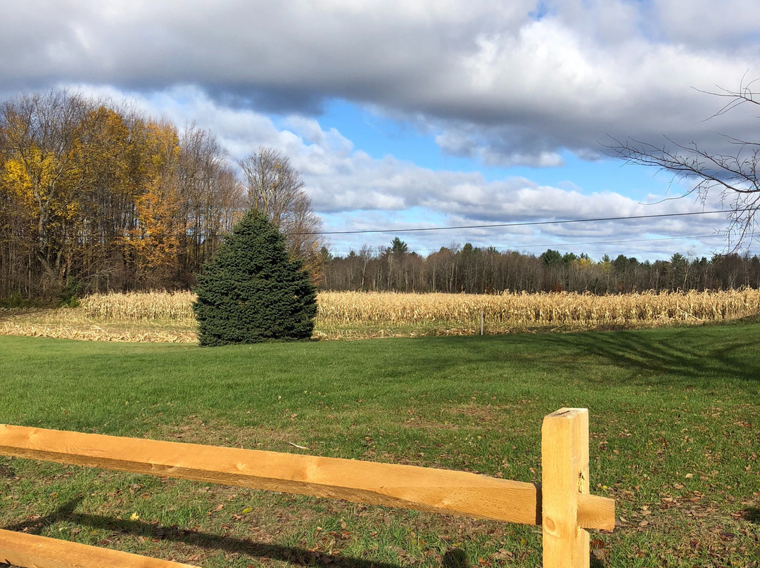 Maple Rock Bed & Breakfast主图