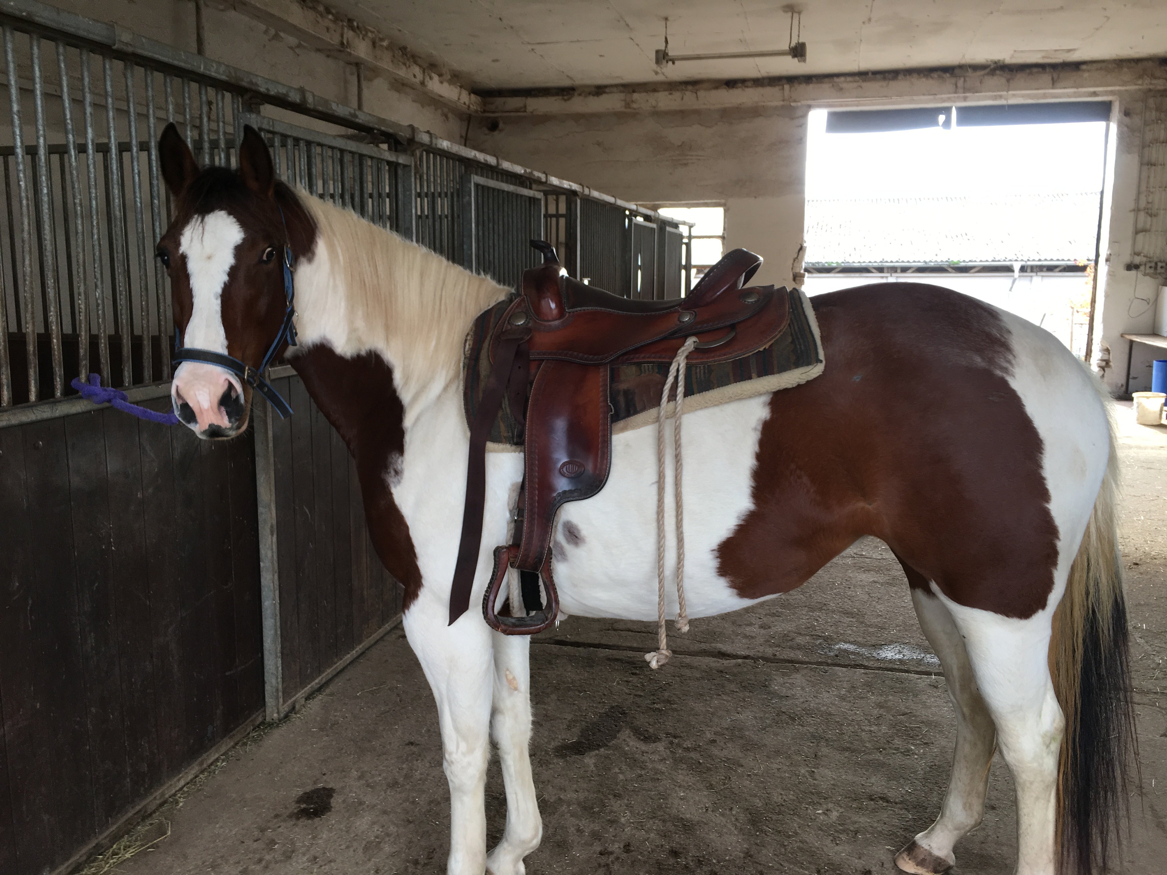 Star Line Farm-官方