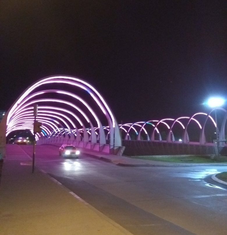Puente del Bicentenario景点图片