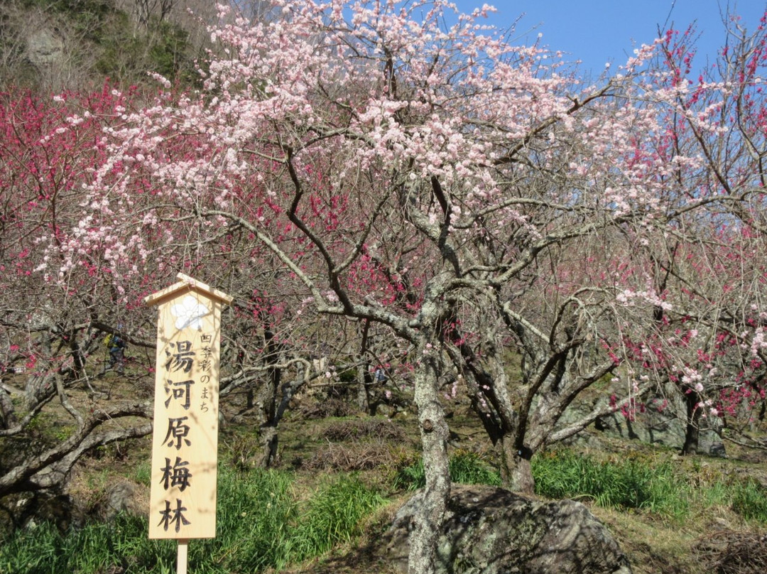 Yugawara Bairin-汤河原町必去景点