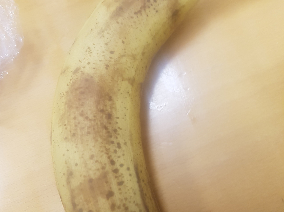 NAMCO Funscape Tamworth-塔姆沃思必去景点