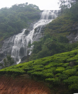Periyakanal Waterfalls景点门票图片
