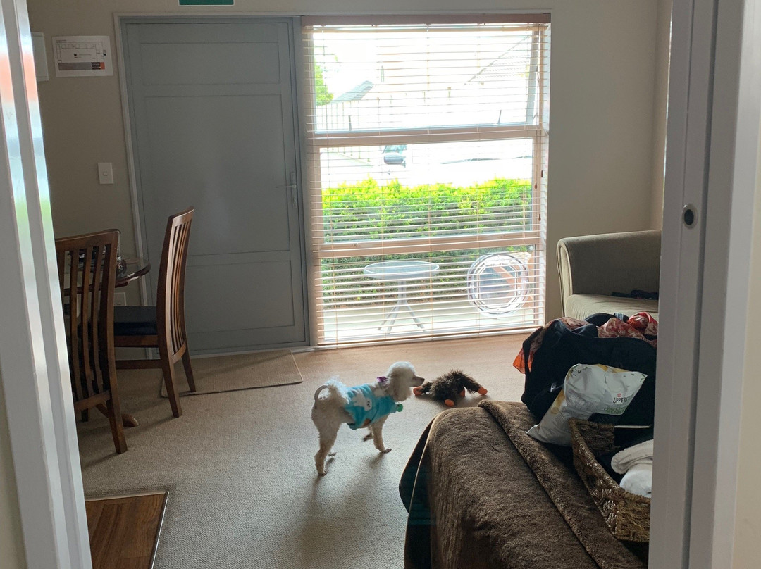 Big Five Motel主图