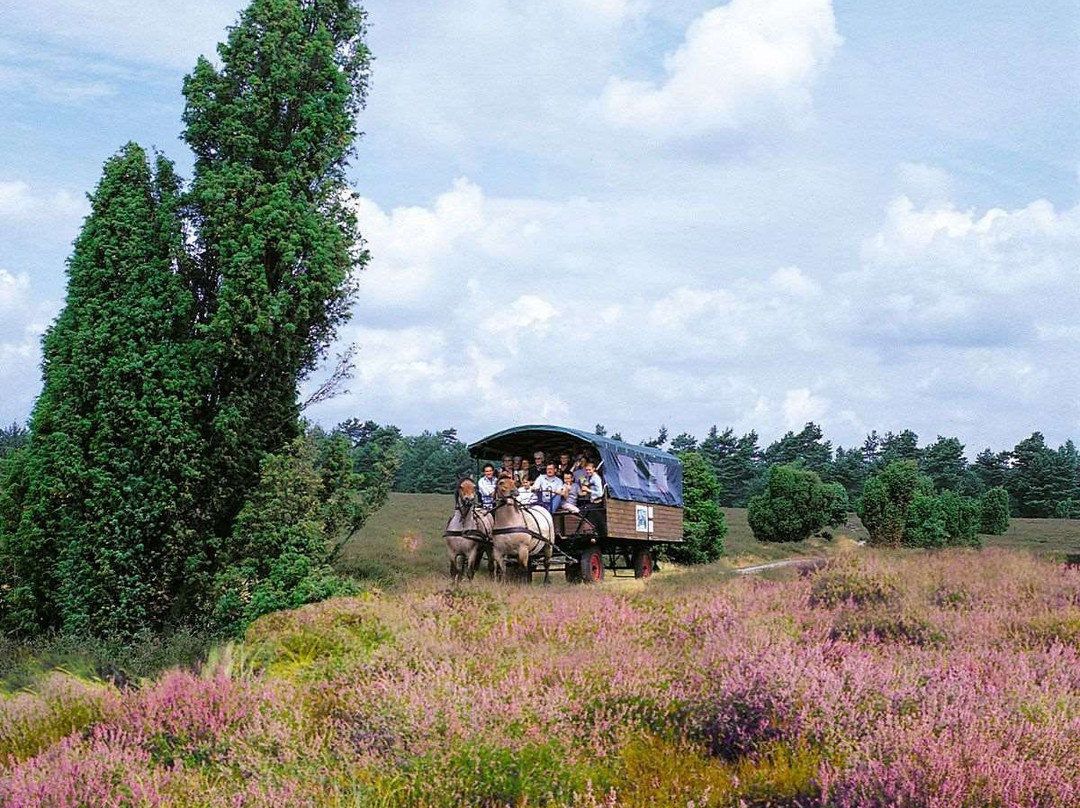 Hotel Heidesee主图