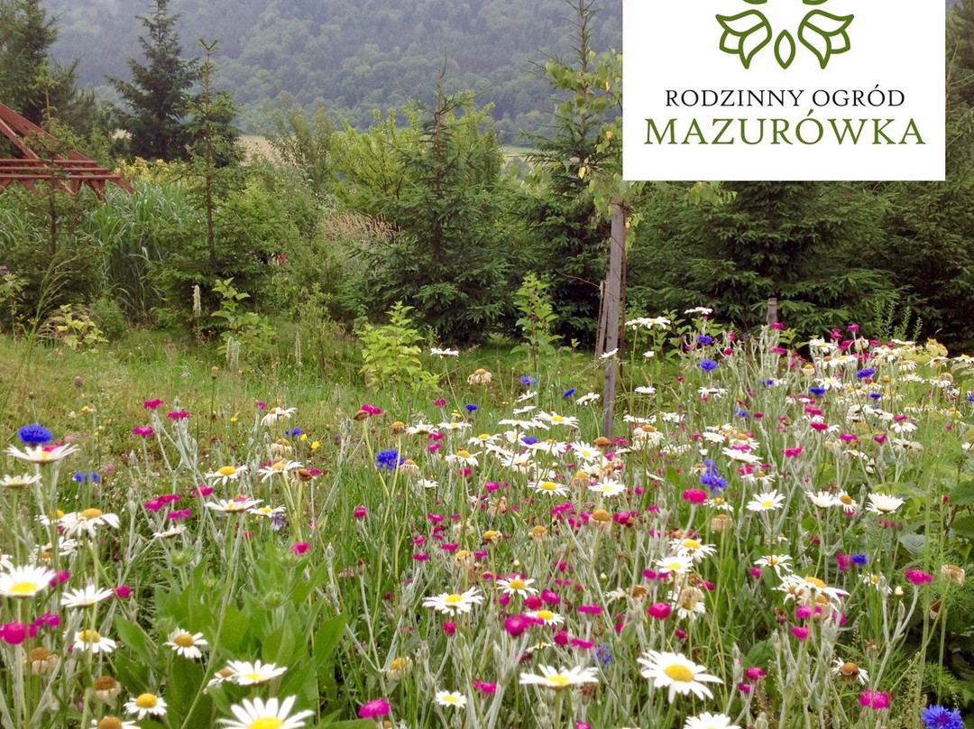 Family Garden Mazurowka-Uscie Gorlickie必去景点