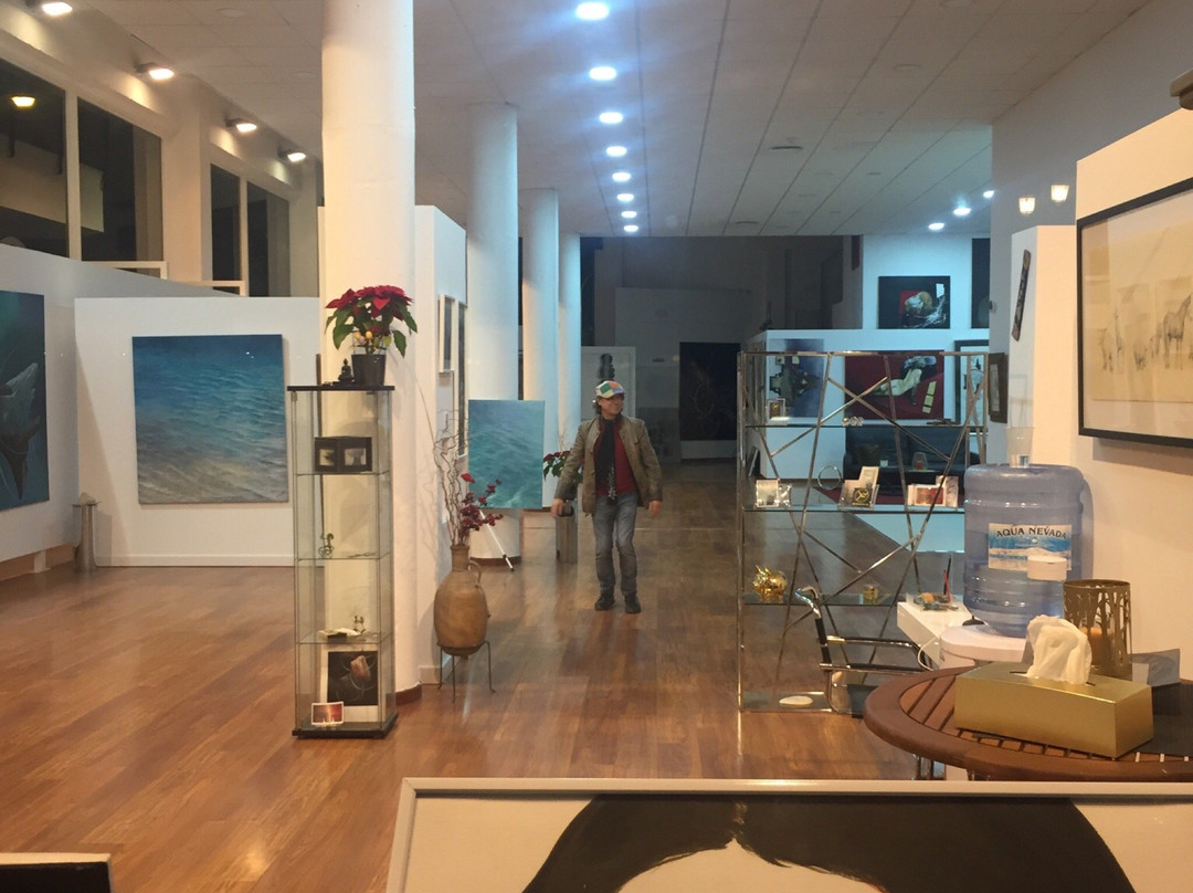 Art Center De Waldi Mare-滨海罗克塔斯必去景点
