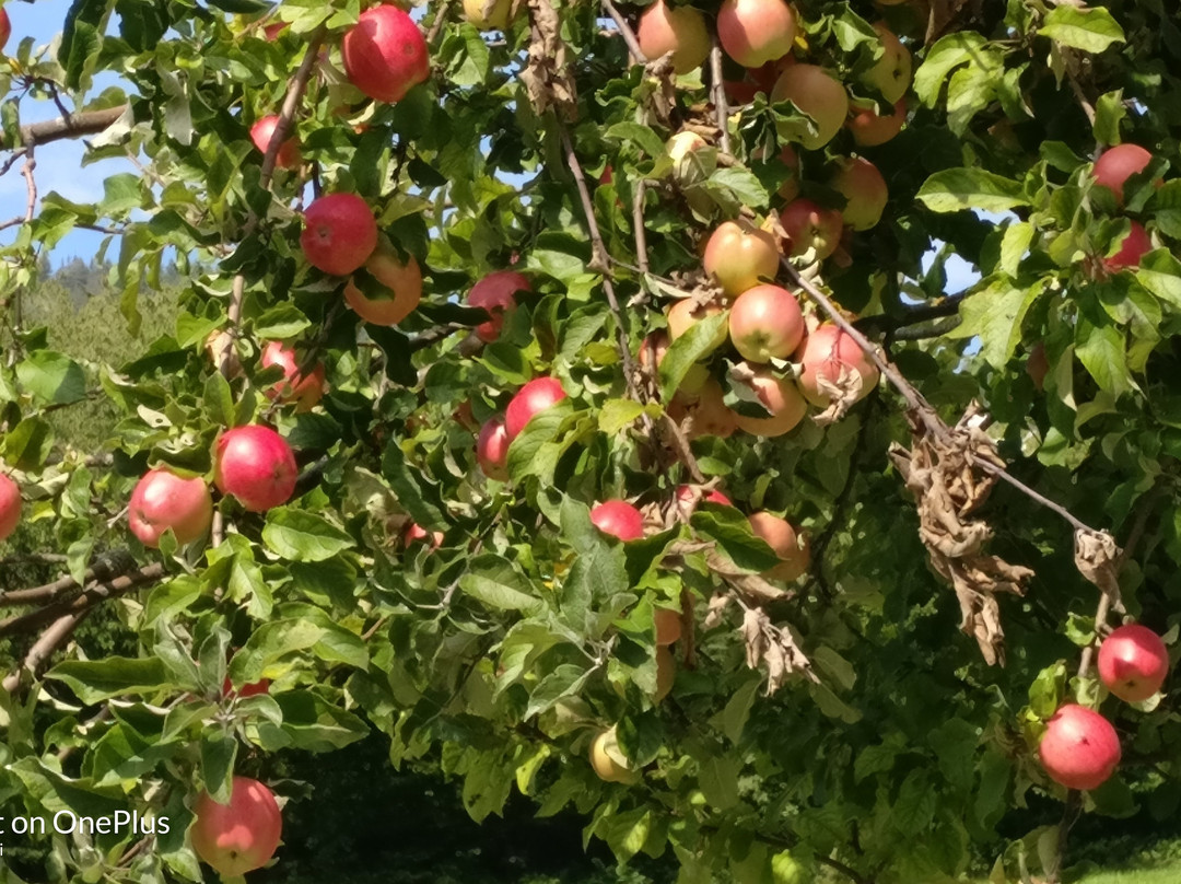 Chiesa di San Giorgio-Terres必去景点