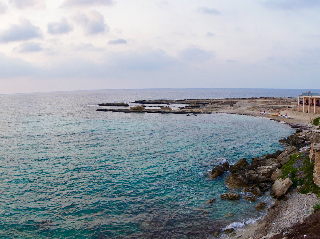 Oasis At Ayfilon主图