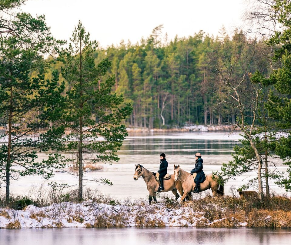 Trailriding in Tiveden景点图片