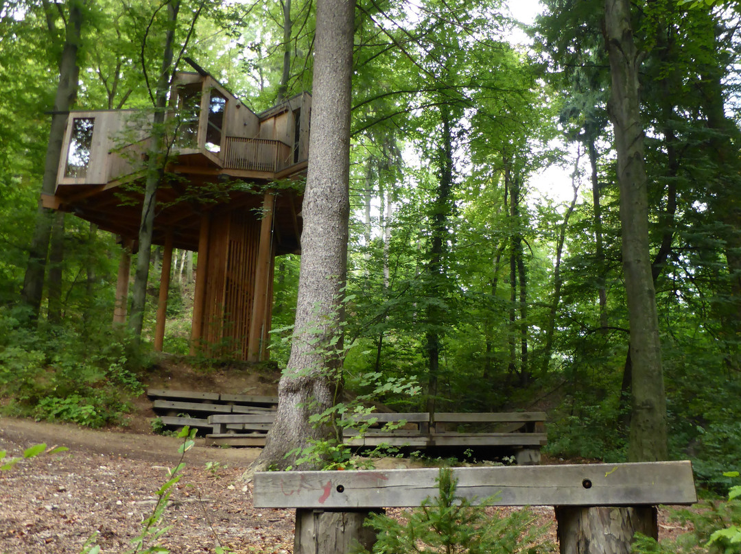 City Forrest Tree House-Celje必去景点