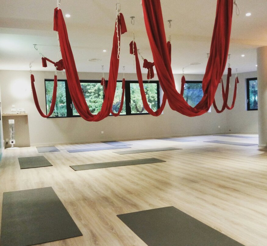 Yoga Lodge Limonest景点图片