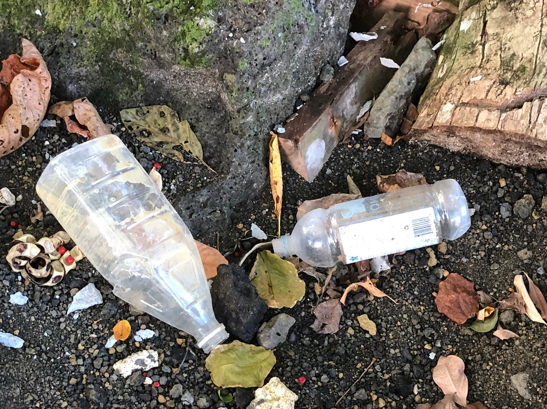 露西亚湖畔城堡酒店主图