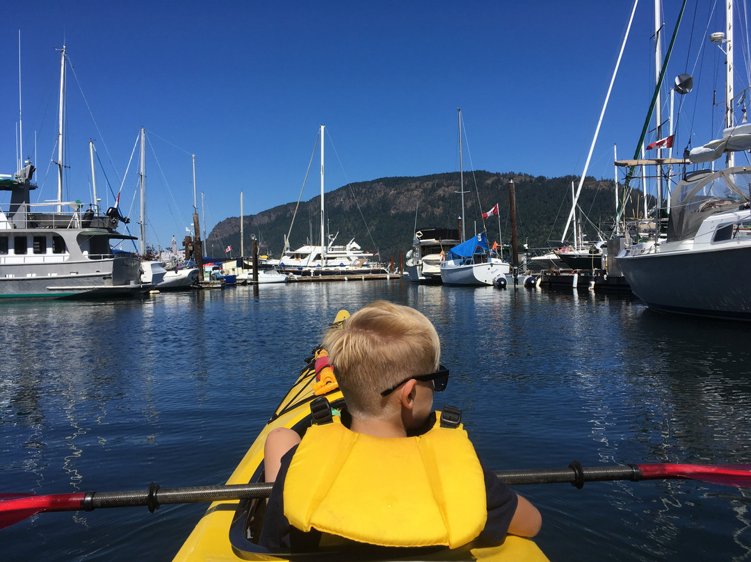 Cowichan Bay Kayaking and Adventure Centre景点图片
