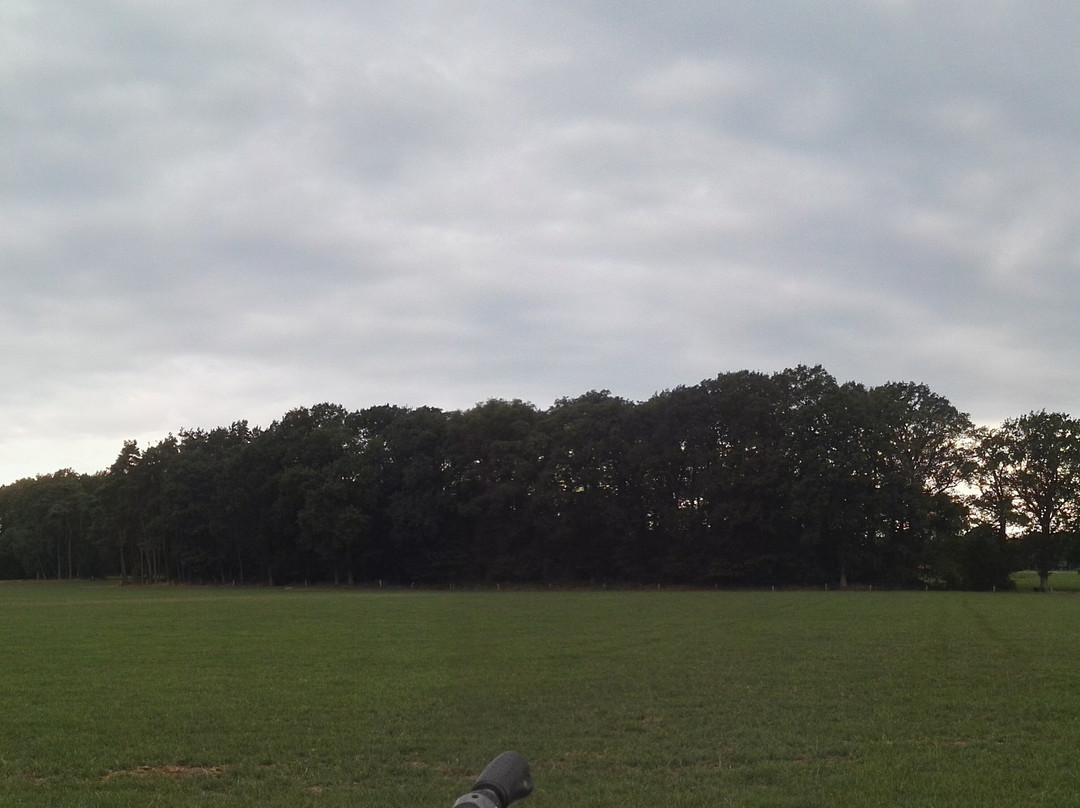 Camperplaats De Nijenhaer