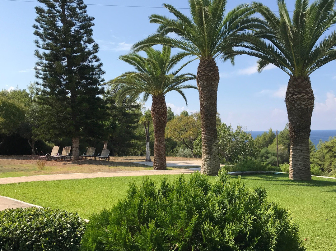 Nondas Apartments主图