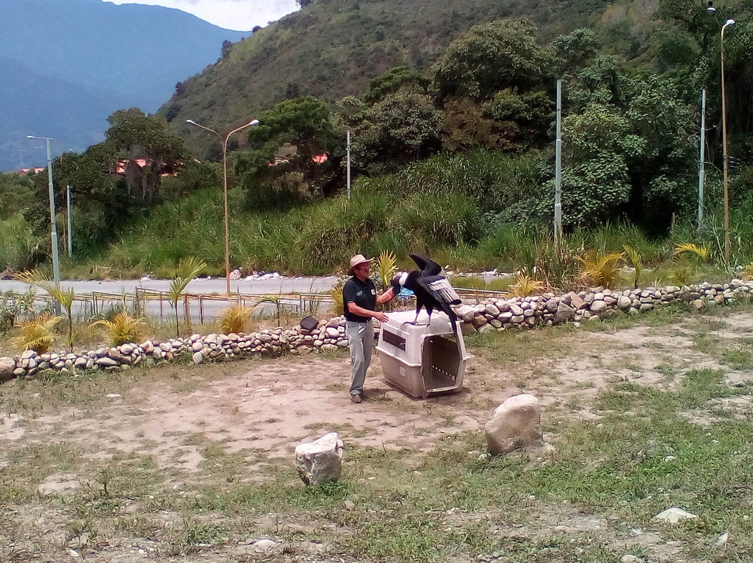 Jardin Botanico de Merida-梅里达市必去景点
