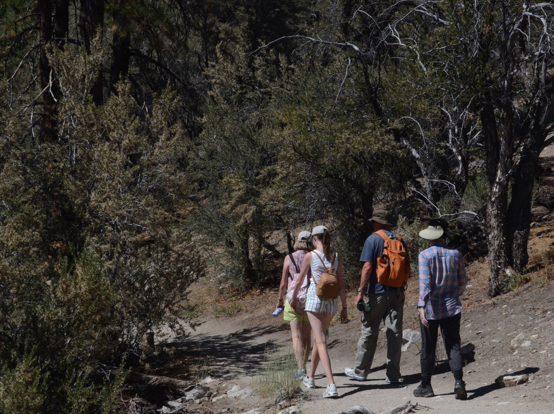 Woodland Trail 1E23-Fawnskin必去景点