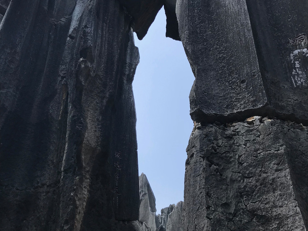 钟灵山森林公园-寻甸回族彝族自治县必去景点