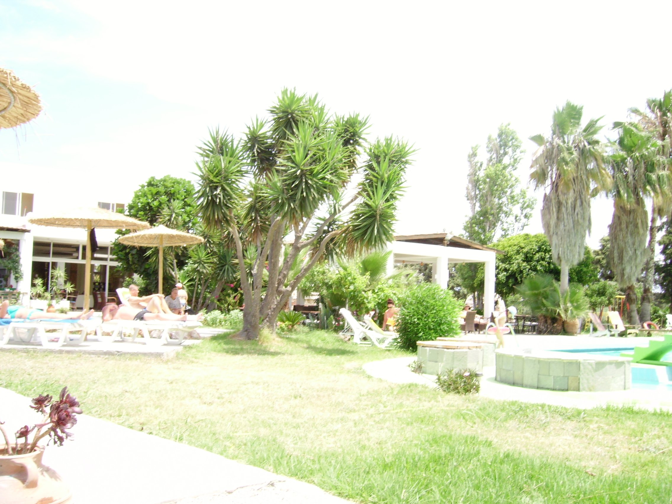 Rhodian Sun Hotel-泳池