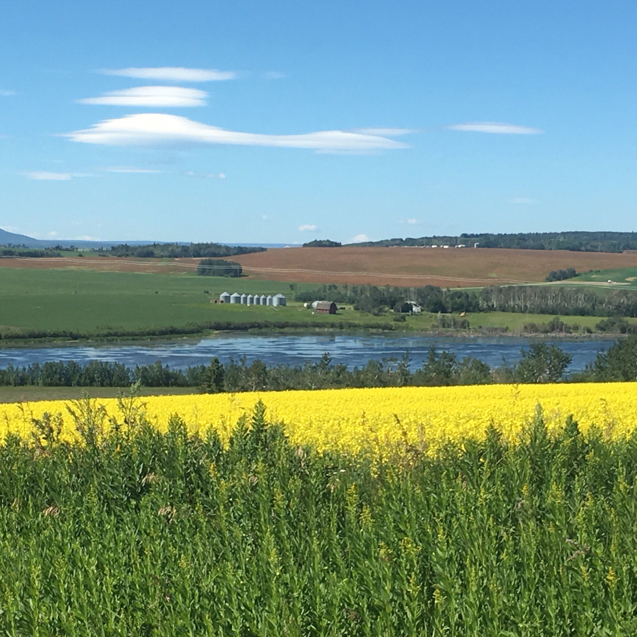 Coast Dawson Creek Hotel-官方