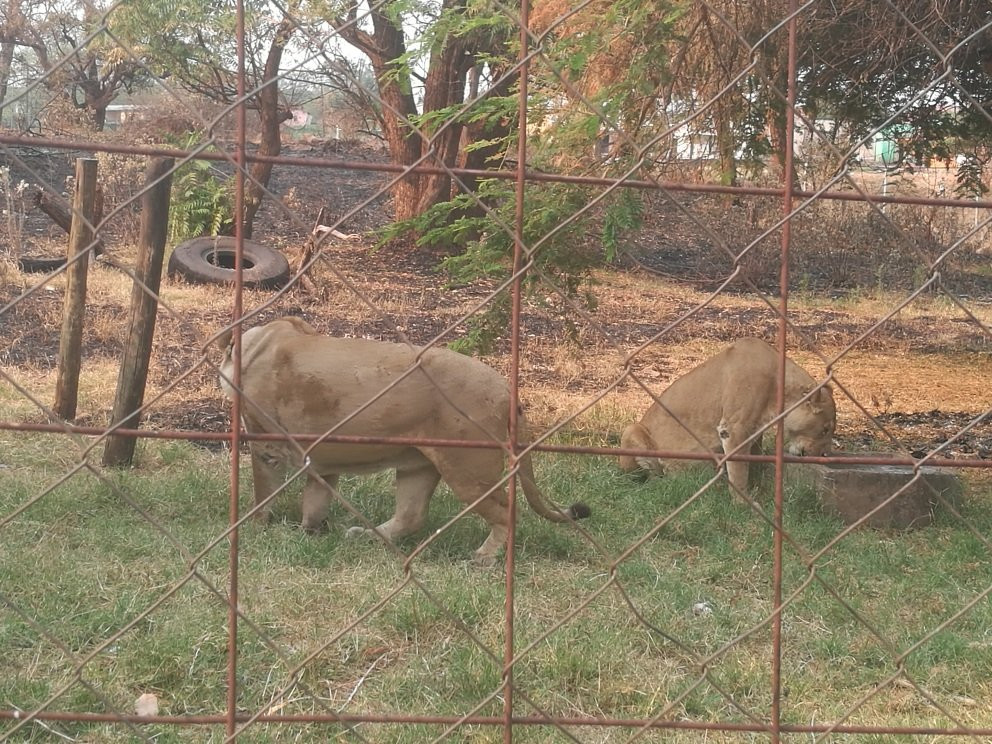 Munda Wanga Environmental Park-Chilanga必去景点