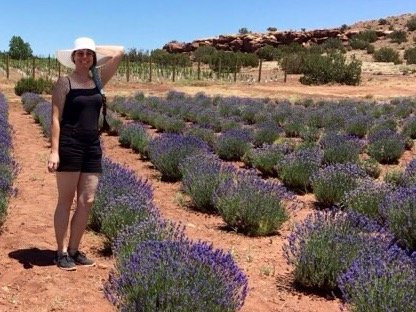 Red Rock Lavender Farm-Concho必去景点