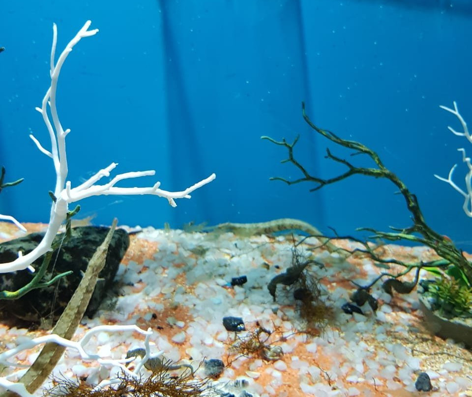 The Black Sea Research Center Bolshoi Utrish-Bolshoy Utrish必去景点