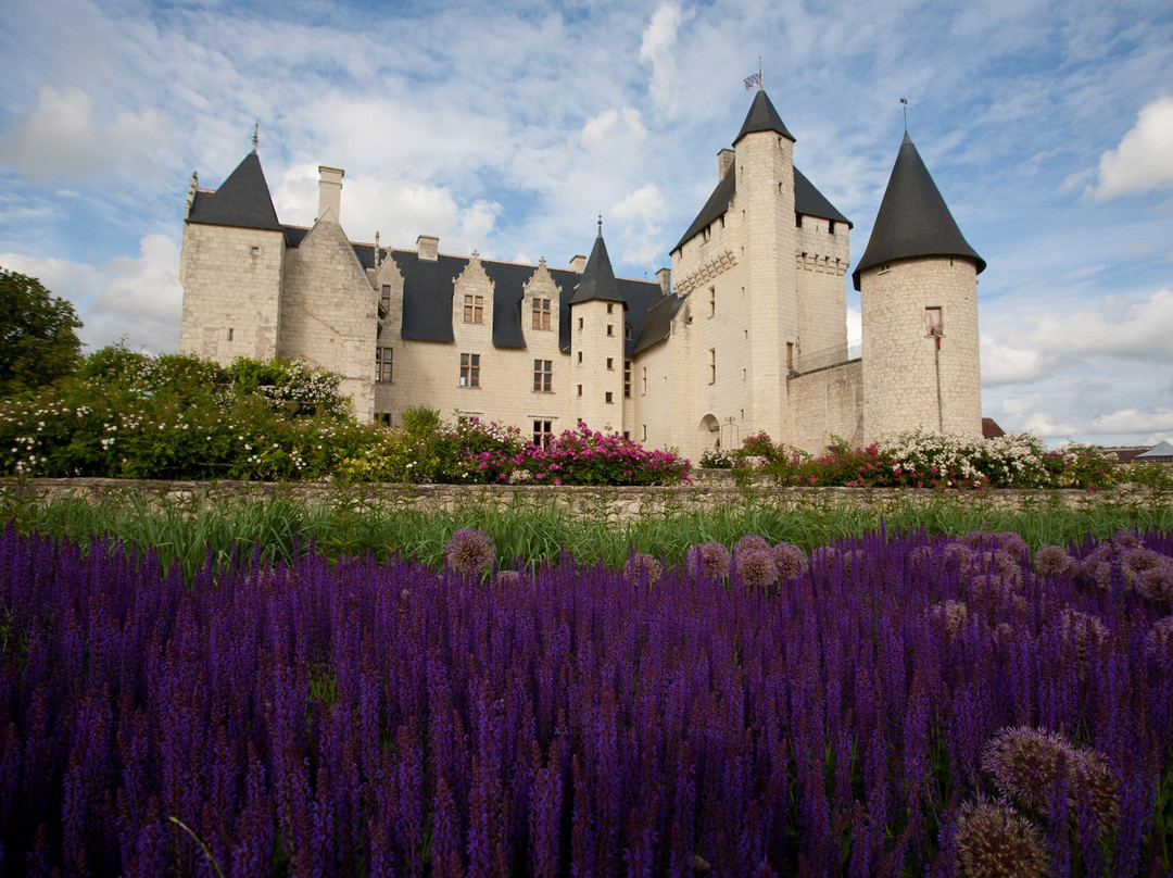 Château du Rivau景点图片