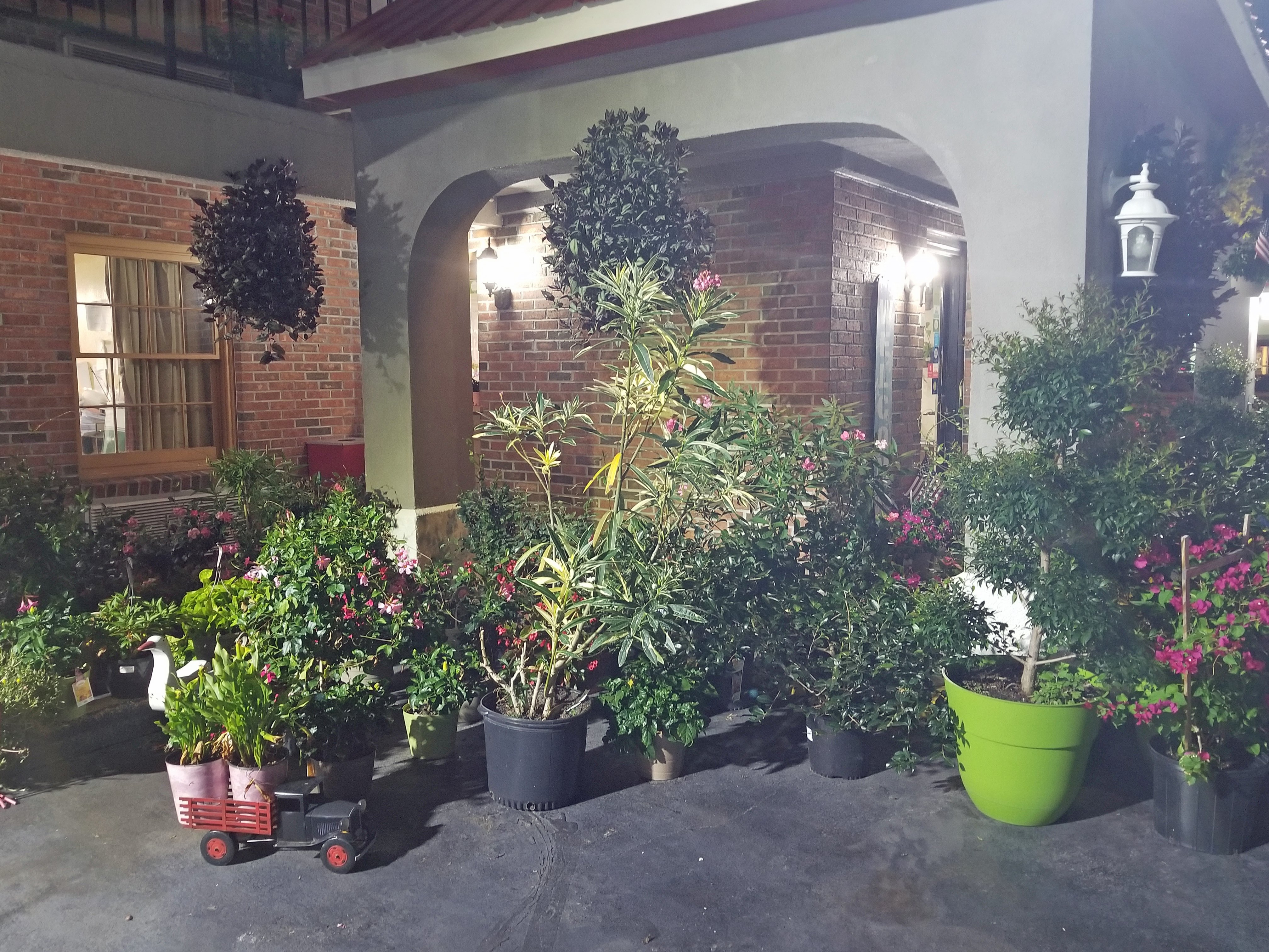 Econo Lodge Walterboro-酒店景观
