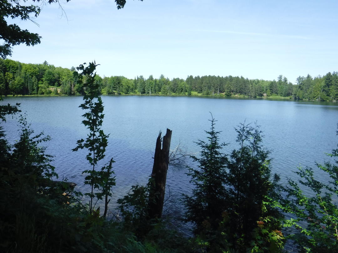 Halfway Lake Cottages主图