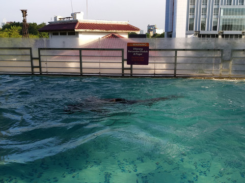 达尔莫奎斯特酒店 - 泗水 - 阿斯顿酒店主图