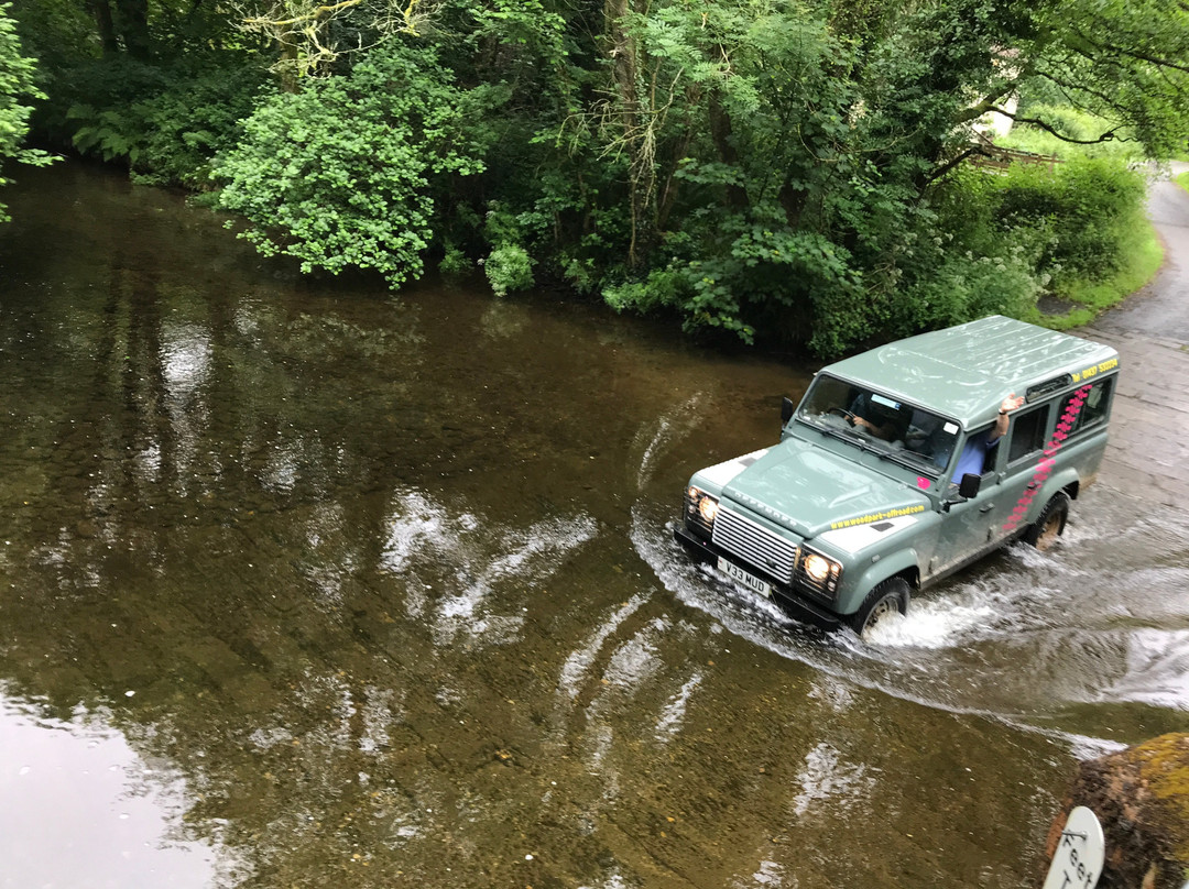 Wood Park Off-Road景点图片