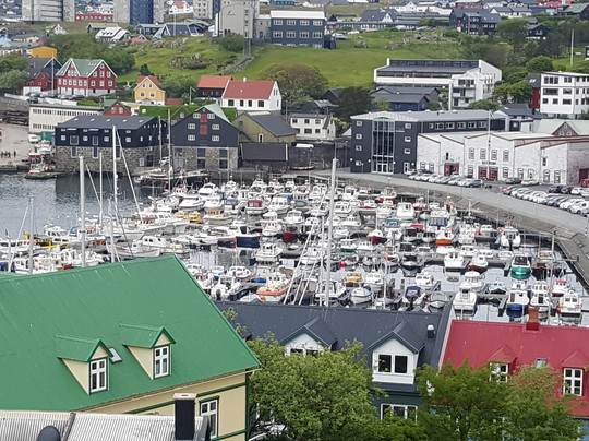 哈夫尼亚酒店主图