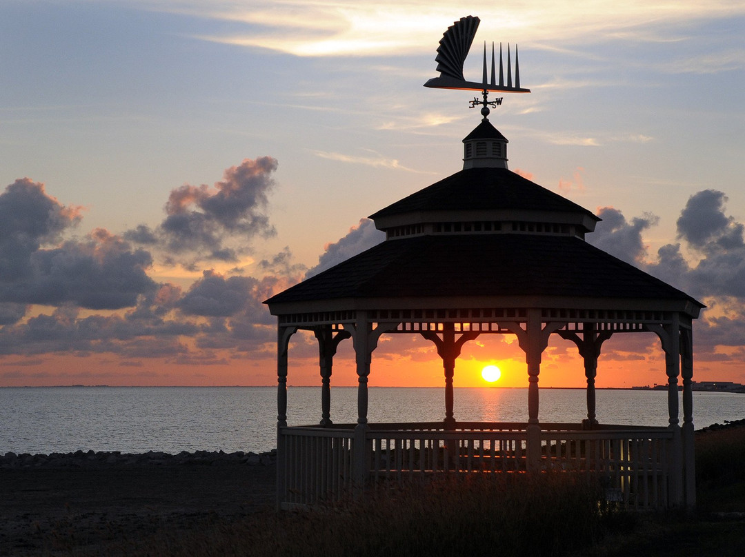 Texas A&M Corpus Christi-科珀斯克里斯蒂市必去景点