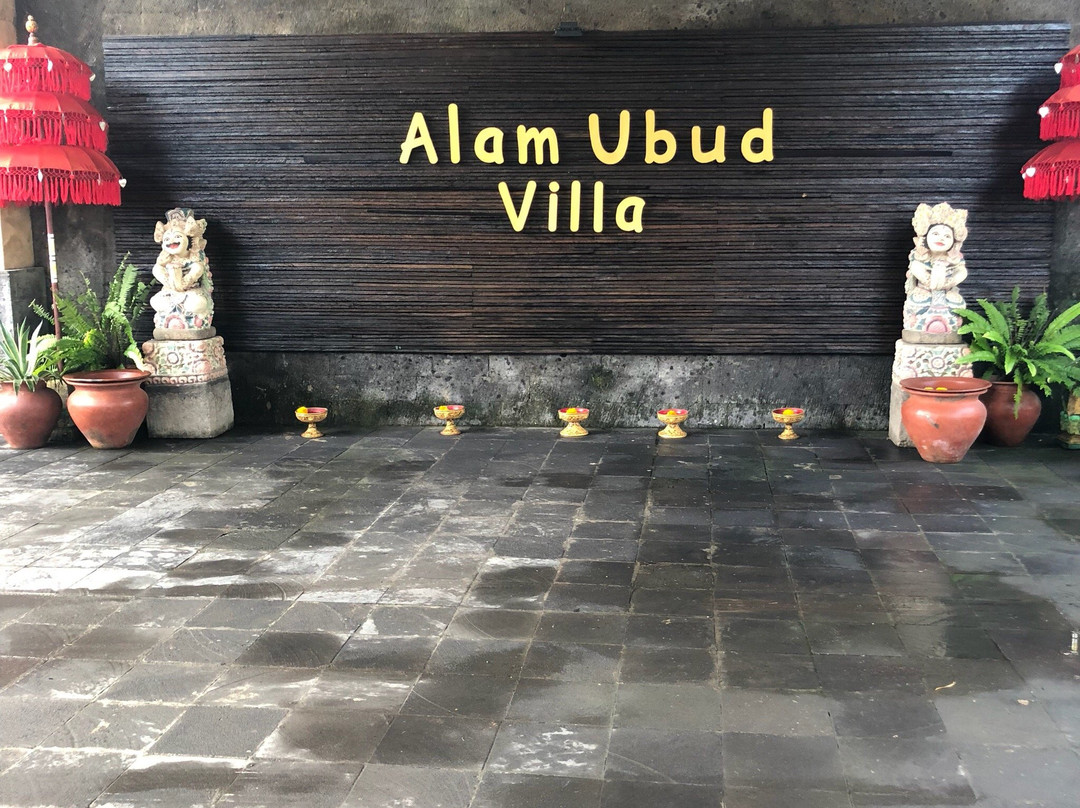 阿拉姆乌布文化别墅及公寓主图