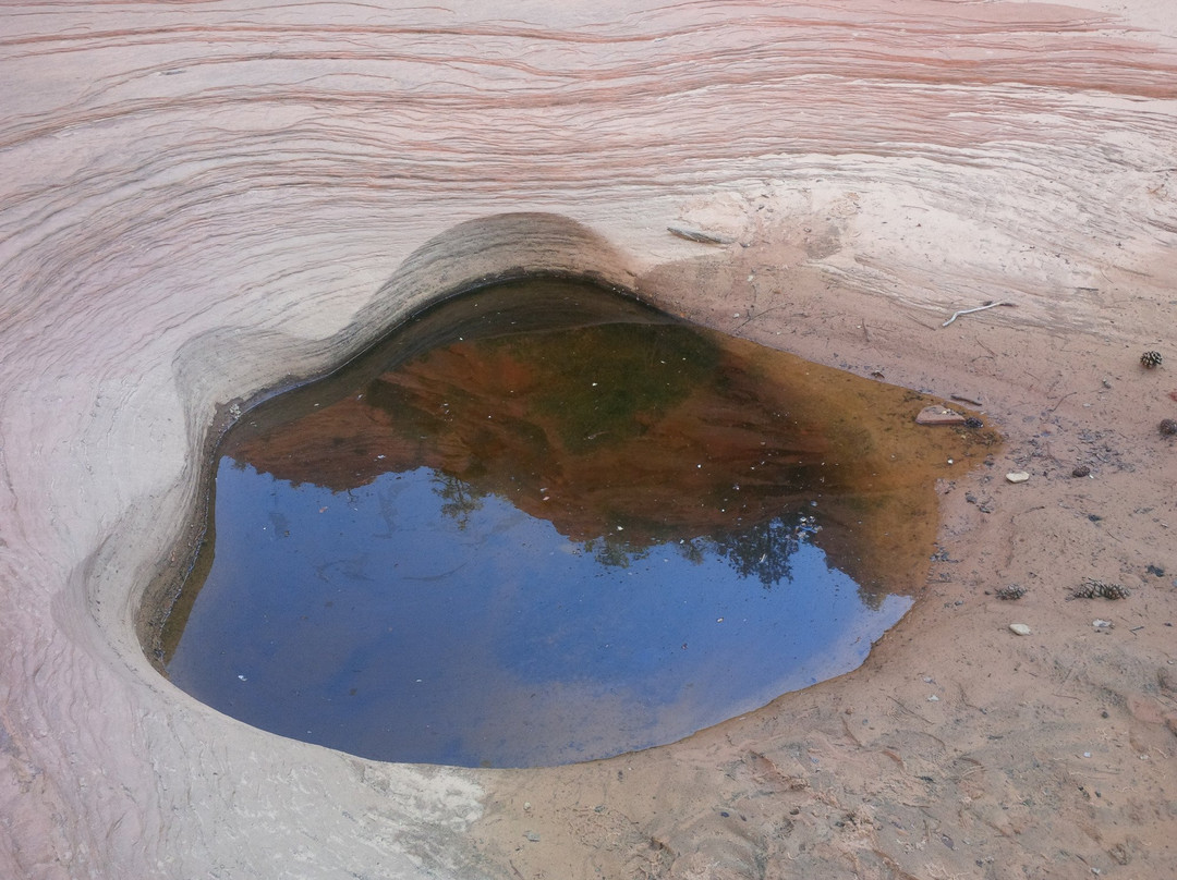 Many Pools Trail景点图片