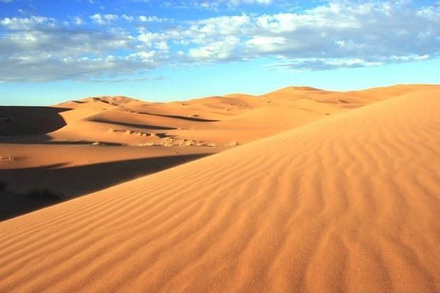 Saharastern景点图片