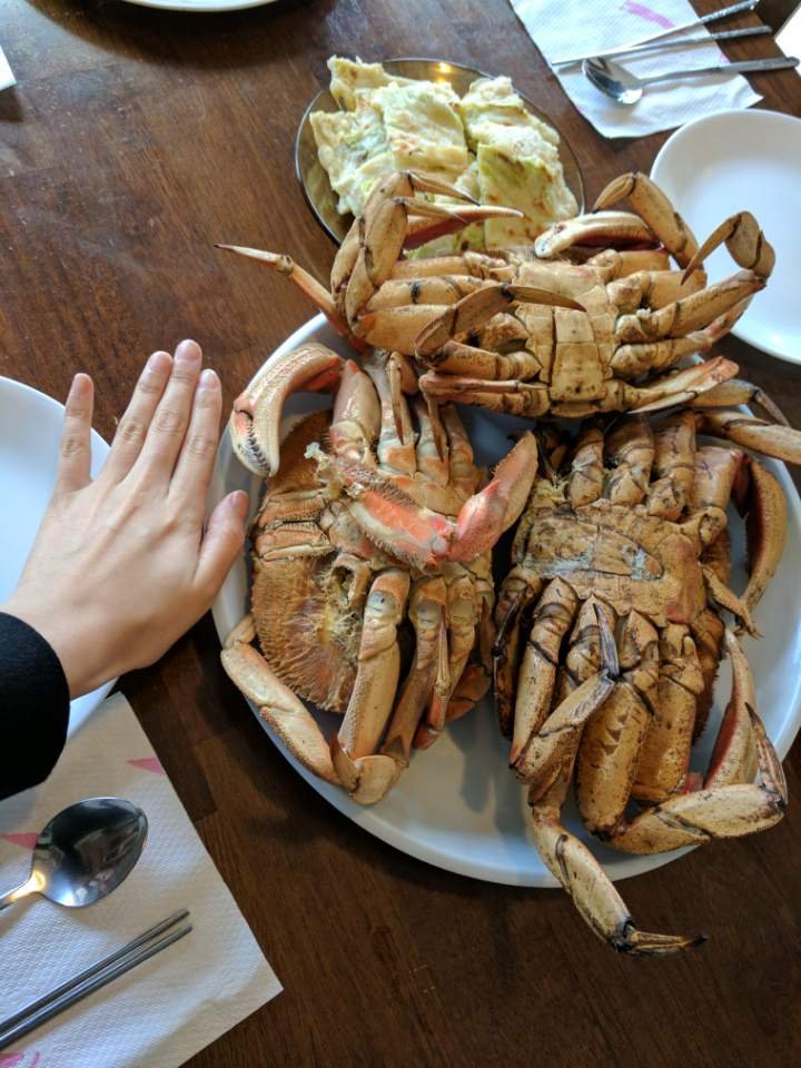 Sea Raven Motel-餐饮